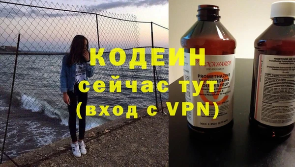 трава Няндома