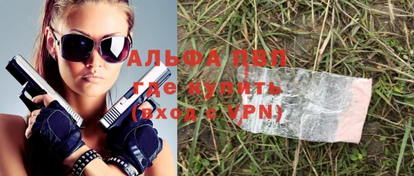 трава Няндома