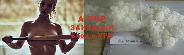 трава Няндома