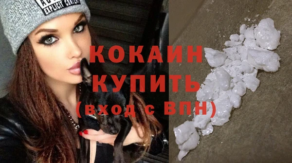 трава Няндома
