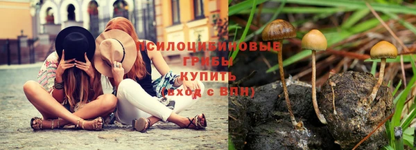 2c-b Нязепетровск