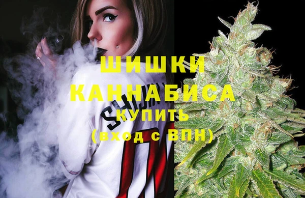 трава Няндома