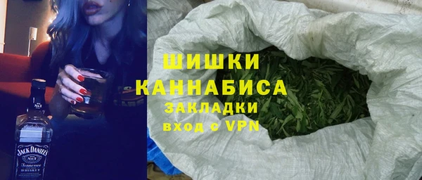 трава Няндома