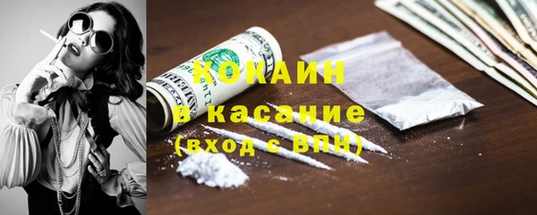 трава Няндома