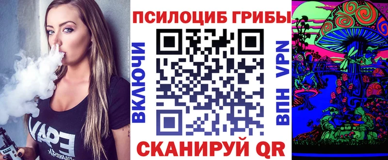 Галлюциногенные грибы прущие грибы  omg как войти  Подпорожье 